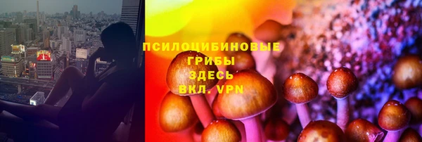 ГАЛЛЮЦИНОГЕННЫЕ ГРИБЫ Волосово