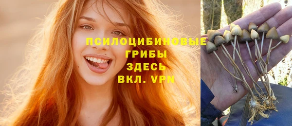 ГАЛЛЮЦИНОГЕННЫЕ ГРИБЫ Волосово